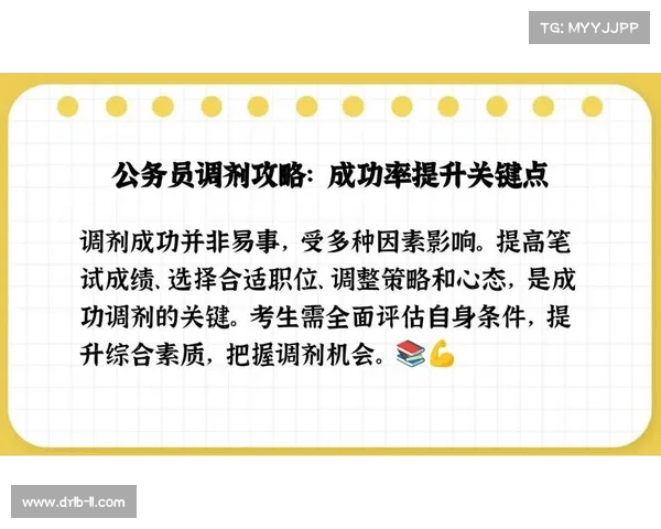强化成功的七大关键概率因素解析与实操策略 强化成功的七大关键概率因素解析与实操策略