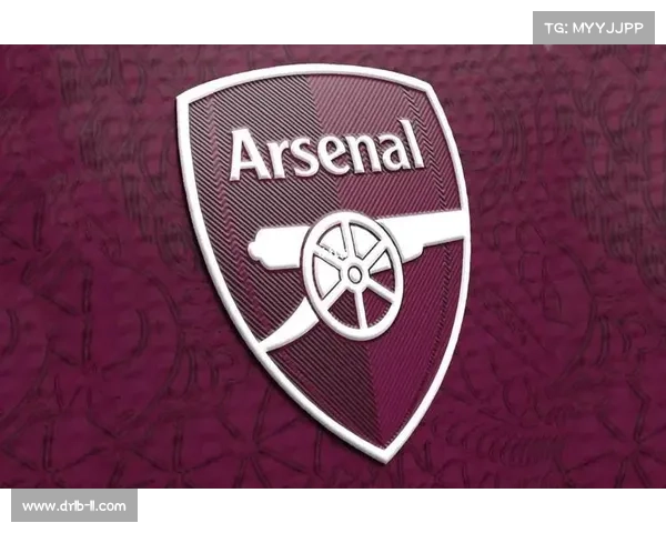 从阿森纳队徽在足球界影响力全面浅析其独特历史与文化象征价值 从阿森纳队徽在足球界影响力全面浅析其独特历史与文化象征价值