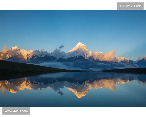 手把手教你破解葡萄牙足球队名奥秘全攻略实用入门指南全面解析法