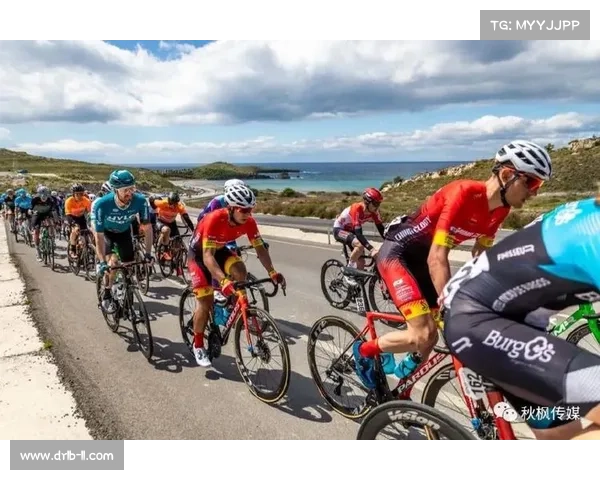 探索土耳其近期激动人心的赛事时刻与精彩回顾