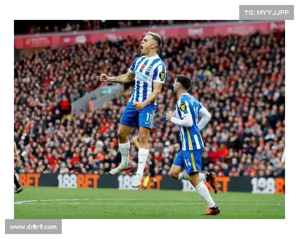 揭秘维尔贝克绰号黑贝的由来与他背后的足球趣味故事