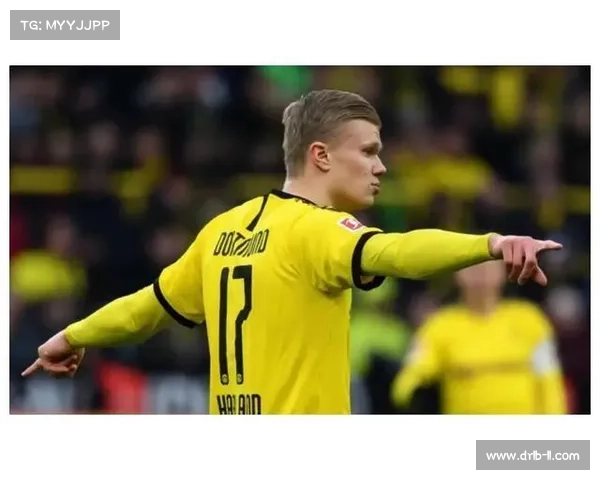 应对德甲格局变化的战略调整与未来发展趋势分析